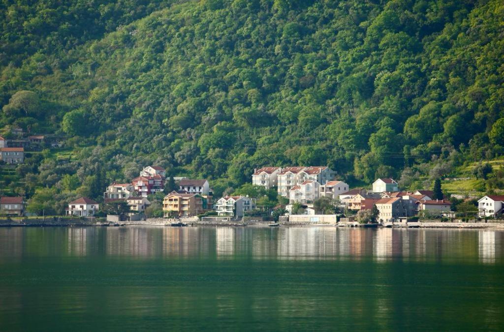 Ana Apartment Kotor Exterior foto
